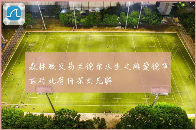 森林狼交易兰德尔求生之路爱德华兹对此有何深刻见解