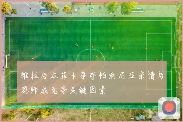 维拉与本菲卡争夺帕利尼亚亲情与恩师成竞争关键因素